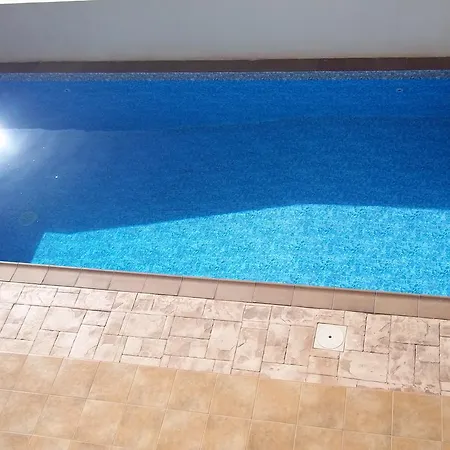 Margarita פרוטאראס